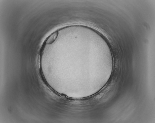 X0000110681510200907101117