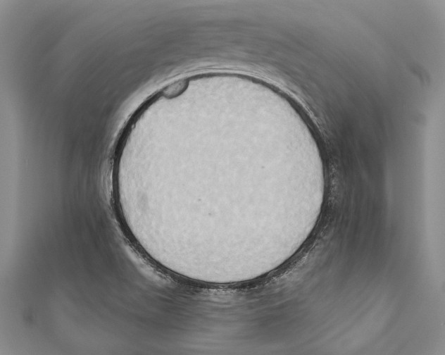 X0000110681511200907101117