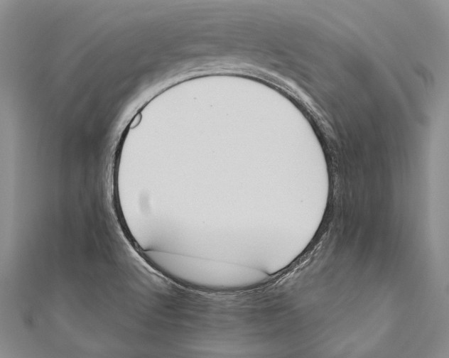X0000110681512200907101117