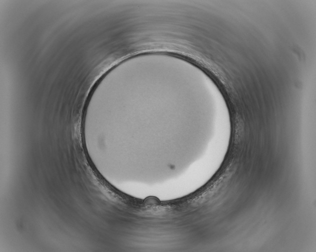 X0000110681513200907101117