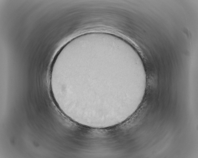 X0000110681514200907101117
