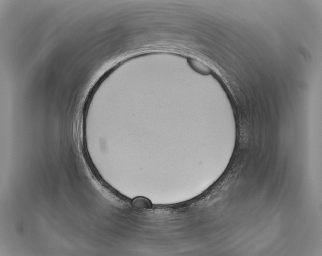 X0000110681515200907101117