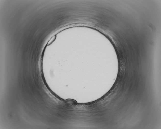 X0000110681516200907101117