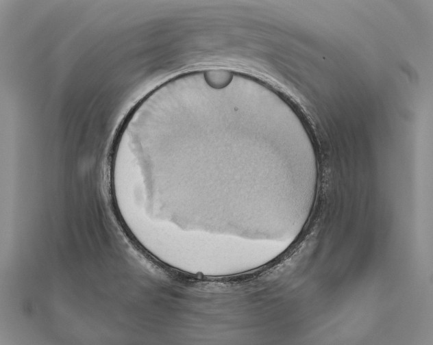X0000110681517200907101117