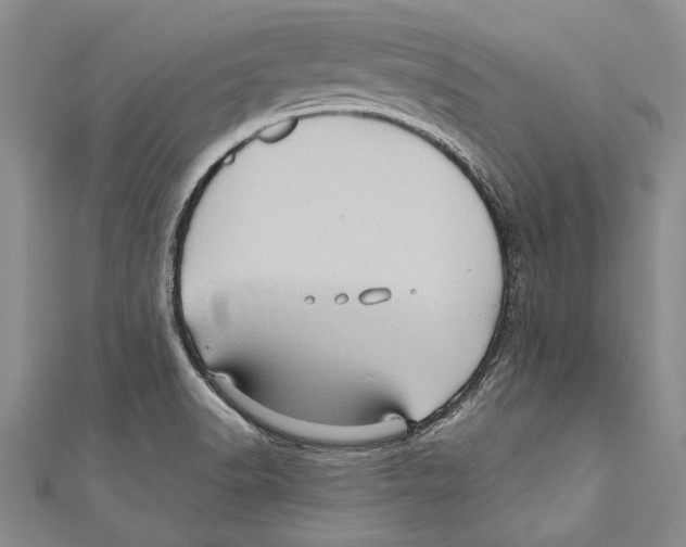 X0000110681518200907101117