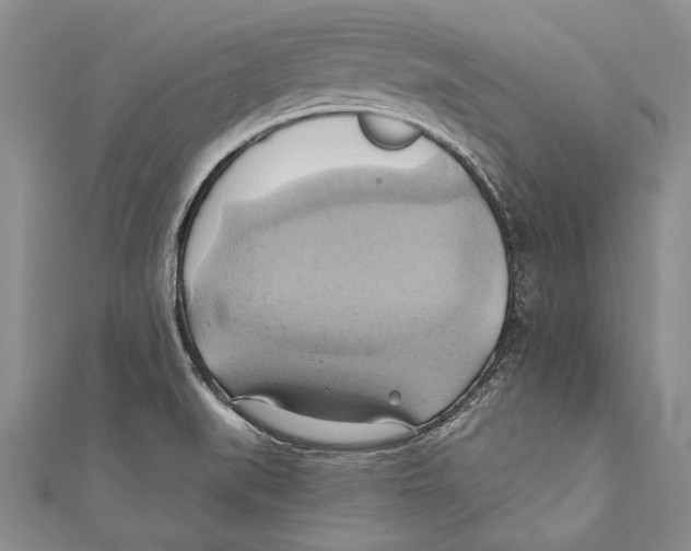 X0000110681519200907101117