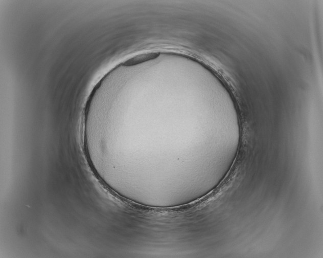 X0000110681520200907101117