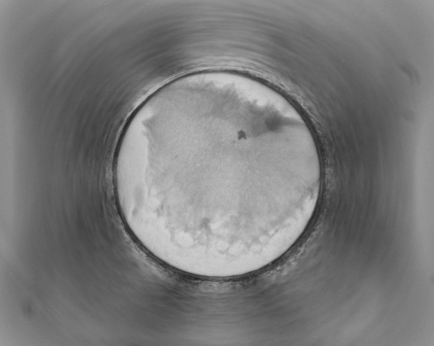X0000110681521200907101117