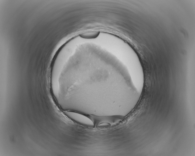 X0000110681522200907101117