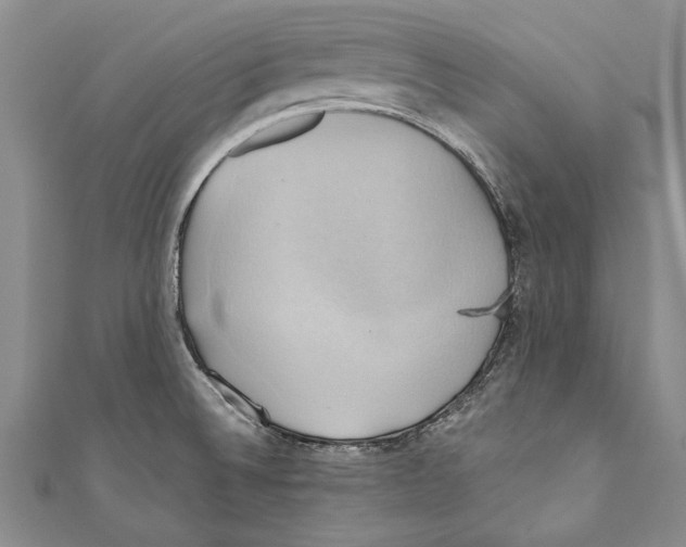 X0000110681524200907101117