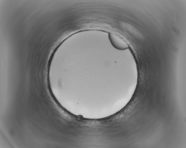 X0000110681525200907101117