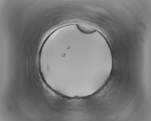 X0000110681527200907101117