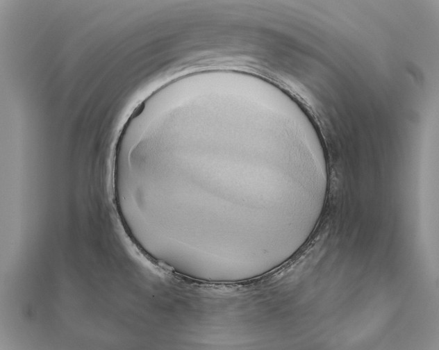 X0000110681528200907101117