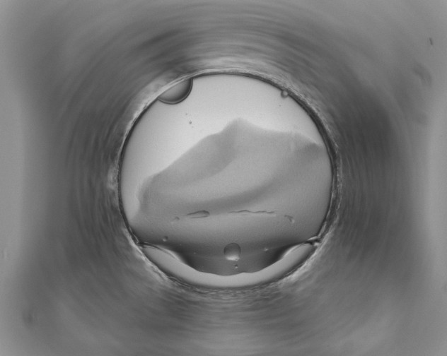 X0000110681529200907101117