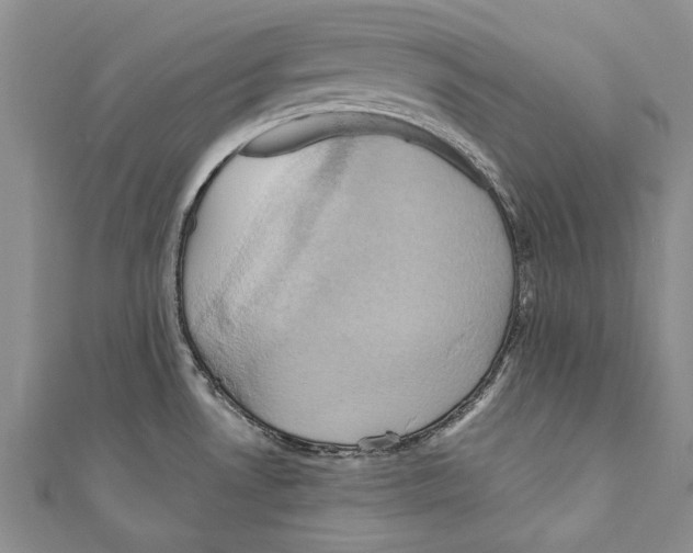 X0000110681530200907101117