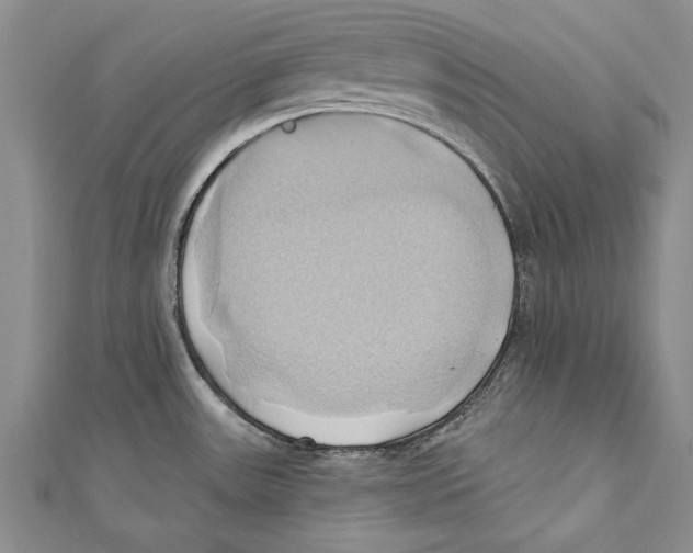 X0000110681531200907101117