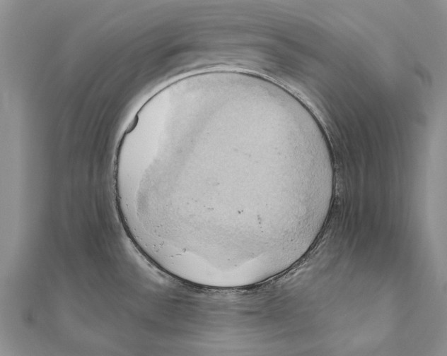 X0000110681532200907101117
