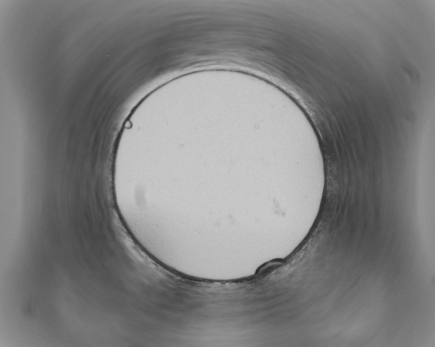 X0000110681534200907101117