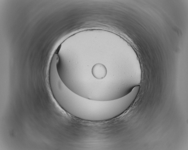 X0000110681536200907101117