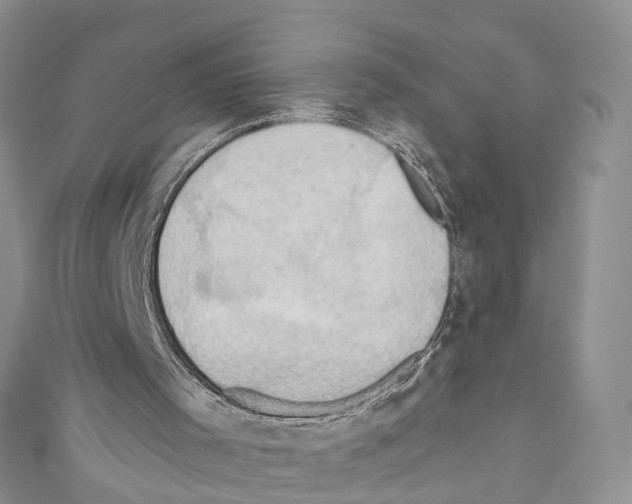 X0000110680001200907241053