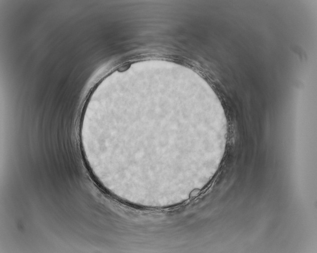 X0000110680004200907241053