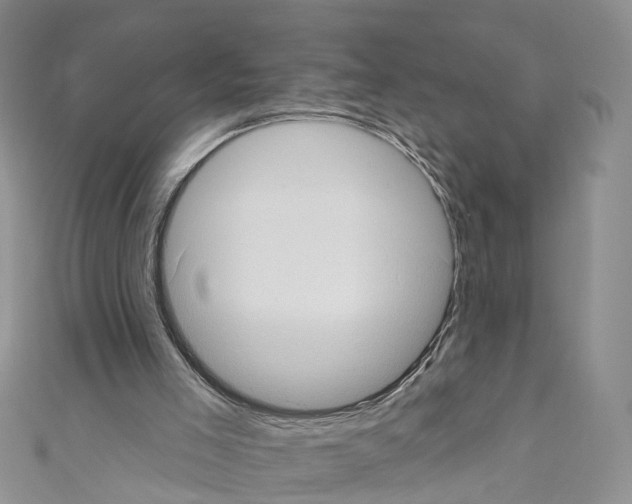 X0000110680005200907241053