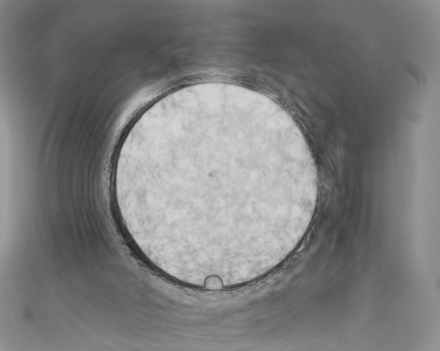 X0000110680006200907241052