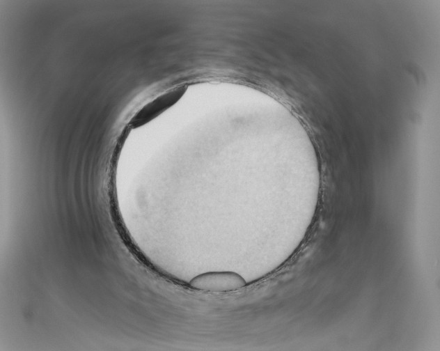 X0000110680007200907241052