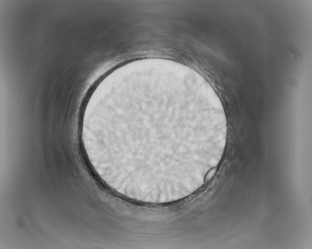 X0000110680008200907241052