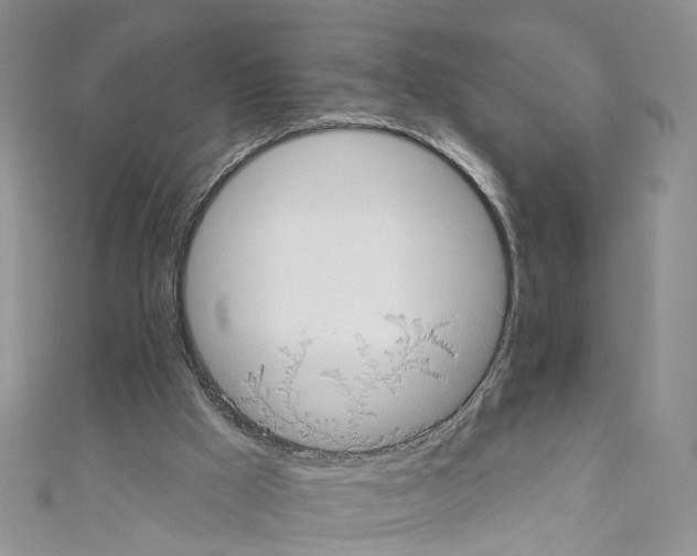 X0000110680009200907241052