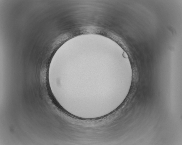 X0000110680010200907241052