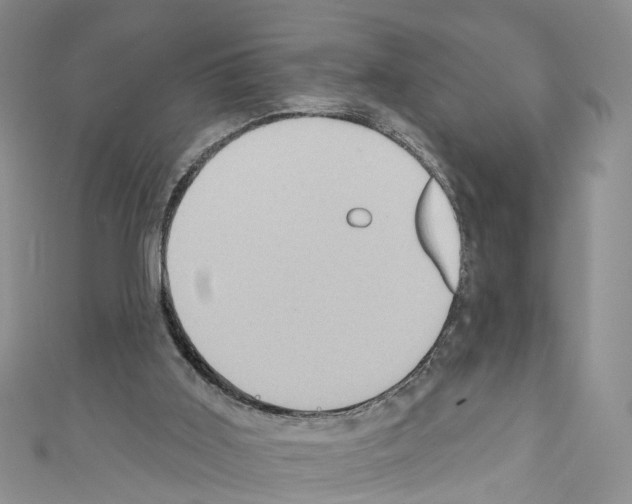 X0000110680011200907241052