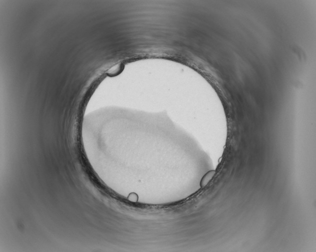 X0000110680012200907241052