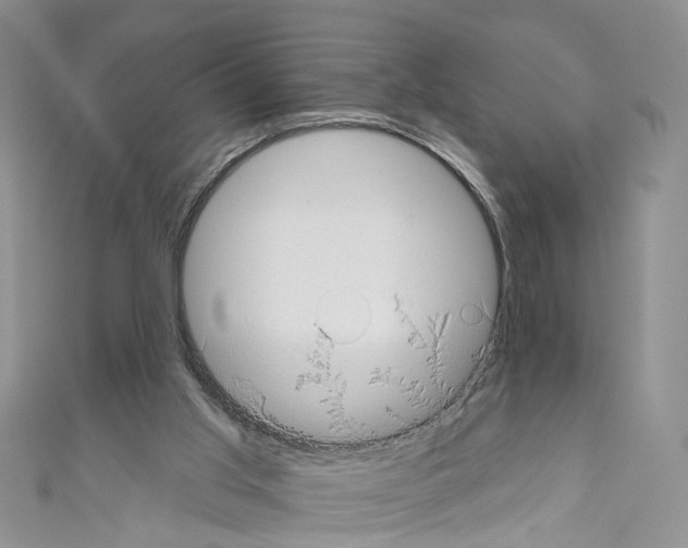 X0000110680013200907241052