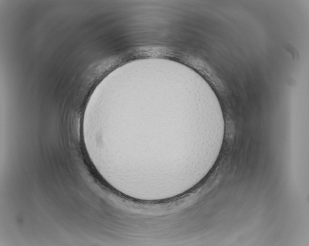X0000110680014200907241052