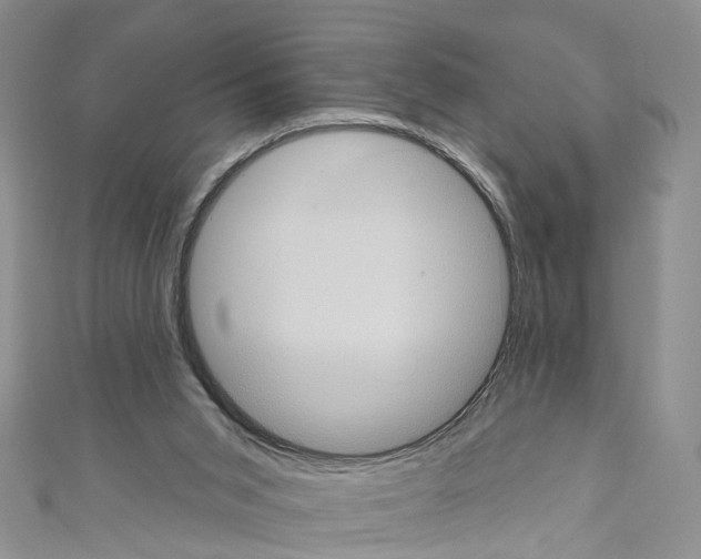X0000110680015200907241052