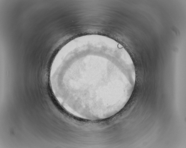 X0000110680016200907241052