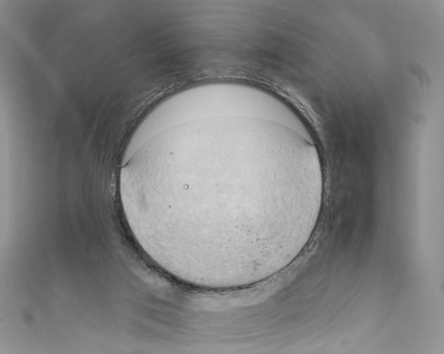 X0000110680017200907241052