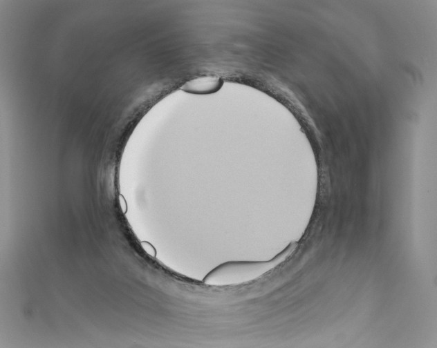 X0000110680019200907241052
