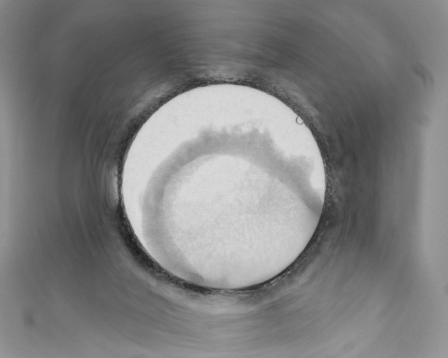 X0000110680020200907241052
