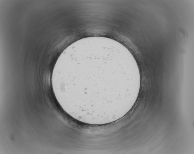 X0000110680021200907241052