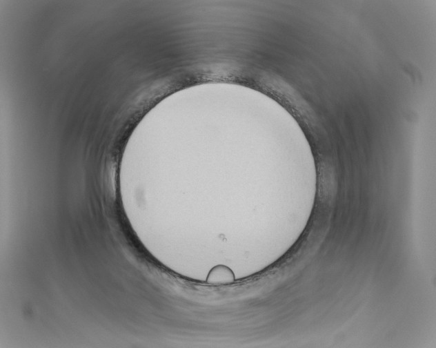 X0000110680022200907241052