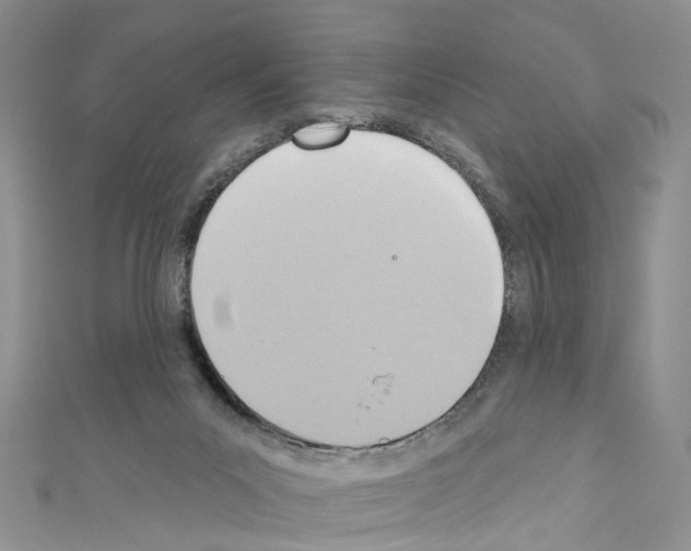 X0000110680023200907241052