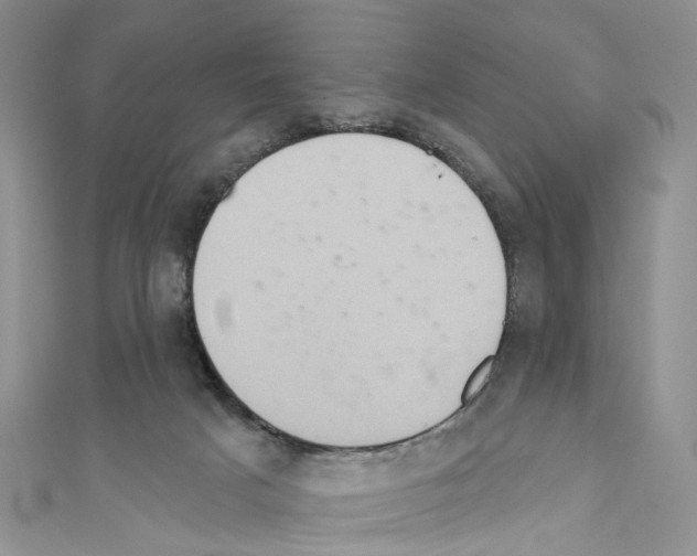 X0000110680025200907241052