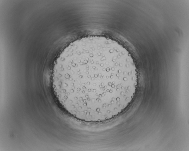 X0000110680026200907241052