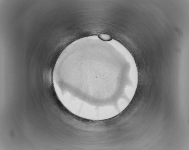 X0000110680028200907241052