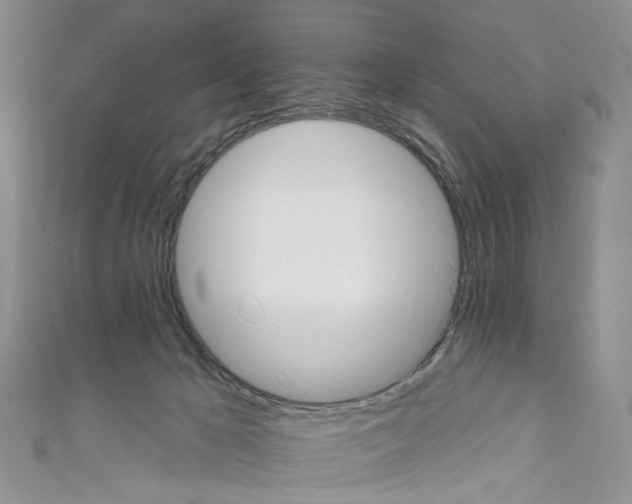 X0000110680029200907241052