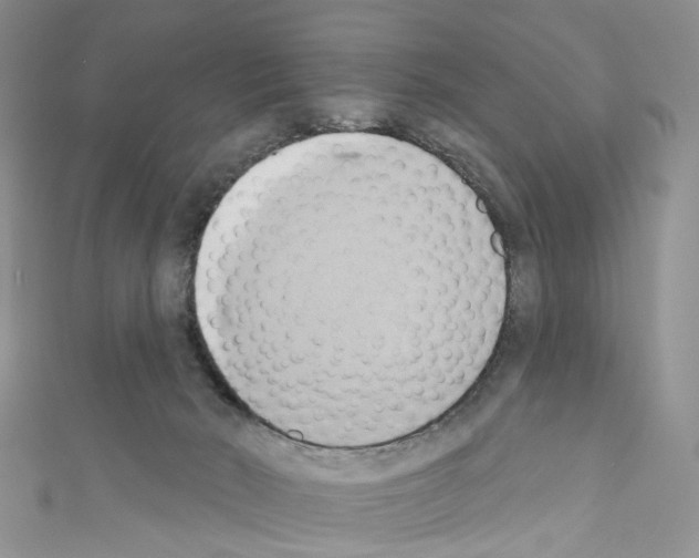 X0000110680030200907241052