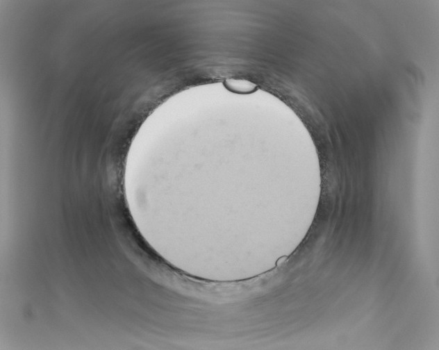 X0000110680031200907241052