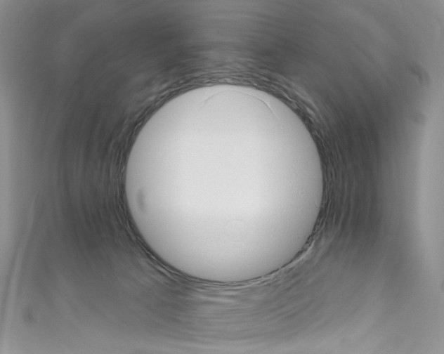 X0000110680033200907241052